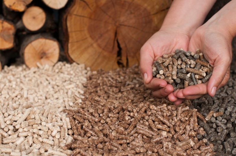 biomassa-legna-pellet_1